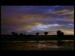 WA Barren African landscape at dusk, Botswana Stock Footage