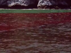 MS Red tide blooming on ocean surface / Guanacaste, Costa Rica Stock Footage