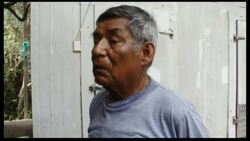 +4:3 FAMED GIANT TORTOISE 'LONESOME GEORGE' DIES Instructional Video