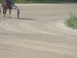 HD SUPER SLOW MO: Harness Racing Stock Footage