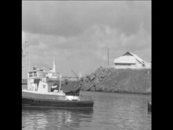 SYND 26 12 67 REDUCTION IN SHIPPING TRADE AFFECTS ADEN AS SUEZ CANAL CLOSES News Clip