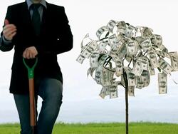 Green Business Stock Footage