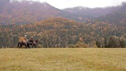 AERIAL Two people talking while riding horses in countryside Stock Footage