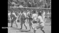 New York Giants at spring training in Miami Beach, FL News Clip