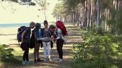 Young backpackers lost in forest Stock Footage