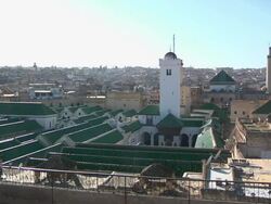 WS View of several buildings with green tops in city / Fes, Centro-North, Morocco Stock Footage