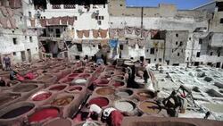 Laborers soak hides and animal skins in vats at the Chouwara Tannery. Stock Footage