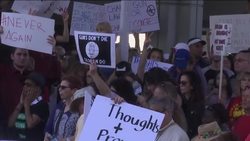 Hundreds Rally Against Gun Laws in Fort Lauderdale News Clip