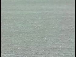 MCU Heavy rain falling into water Stock Footage