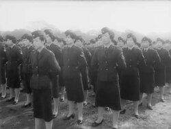 Japanese National Self Defense Force celebrates 10th anniversary Stock Footage