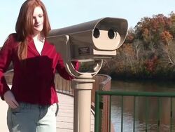 Look Beyond Stock Footage