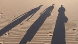 Walking shadows Stock Footage