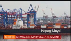 German August Exports Fall 5.8% in Month News Clip