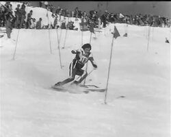 THE WORLD SKIING CHAMPIONSHIPS News Clip