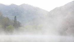 Wet fog moving over Seryangji lake(Reservoir in the Hwasun) Stock Footage
