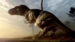 A Tyrannosaurus Rex lays eggs  in a computer generated animation. Stock Footage