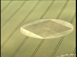 Crop circles in Wiltshire News Clip