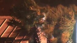 The center of Hurricane Arthur was moving near North Carolina's coast early Friday after slashing into the state's barrier islands just ahead of Independence Day, (July 3) News Clip