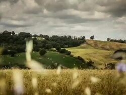 Timelapse of Tuscany Countryside: Chianti Stock Footage