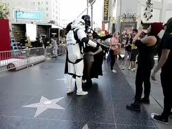 Scenes From Hollywood Boulevard, California Stock Footage