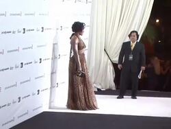 17th Annual Elton John AIDS Foundation Academy Award Viewing Party Par Stock Footage