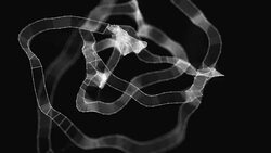 Loopable matte connections technology Stock Footage