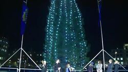 VOICED : Londres enciende arbol de Navidad News Clip