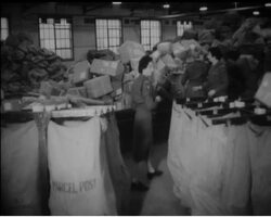 LIGHTS UP FOR CHRISTMAS News Clip