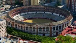 Bull ring. Stock Footage
