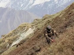 MS Sex herb collectors at the Himalayan mountains / Durma, Banke District, Nepal Stock Footage