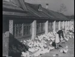 Russian Soviet Archival Footage 1898-1939 Stock Footage