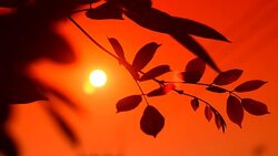 Background sun summer Stock Footage