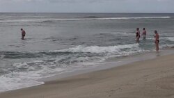 CLEAN : Shark kills teen surfer off La Reunion News Clip