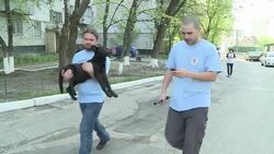 VOICED: Sterilisation plan for Ukraine's stray dog News Clip