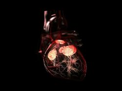 Rotating around human heart Stock Footage