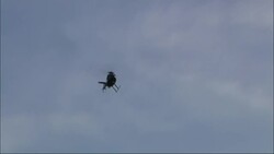 Heavy security as hundreds protest police shooting of unarmed teen News Clip