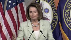Pelosi Pushes for Quick Funding for Zika Instructional Video