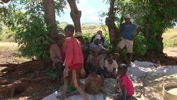 CLEAN : Madagascar unleashes poisoned rain to break locust plague News Clip