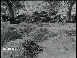 Religious persecution Exodus Instructional Video