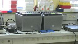 CLEAN : Ebola in DRC: Kinshasa ready for three month Ebola fight News Clip