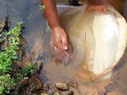 Fishing net for Environmental Conservation Stock Footage