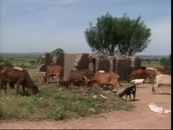 Environmental projects win awards for sustainable energy News Clip