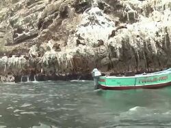 WS View of Small fishing boat very close to rocky cliffs in ebbing waves, fisherman aboard fishes, sea lions on rocks / Lima, Peru Stock Footage