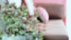 Interior design of modern Living room decoration Stock Footage