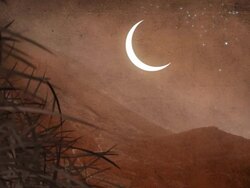 Moon In The Mystical Early Morning Stock Footage