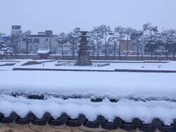Snow scene of Jeongnimsajiocheungseoktap(Stone Pagoda, Korea National Treasure 9) at Jeongnimsa Temple Site Stock Footage