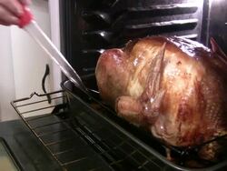 Basting a turkey in the oven Stock Footage