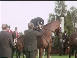 MOVIETONE TAKES A LOOK AT SOME OF THE VARIOUS ACTIVITIES OF THE HORSE.- COLOUR News Clip