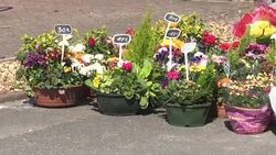 CLEAN : Calais: the difficult job of identifying deceased migrants News Clip