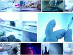 Scientist and bio lab experiment Stock Footage